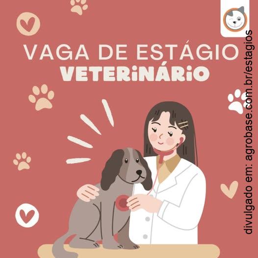 Estágio na área veterinária – Serra/ES