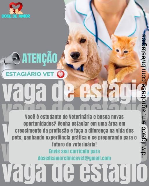 Estagiário vet – Canoas/RS