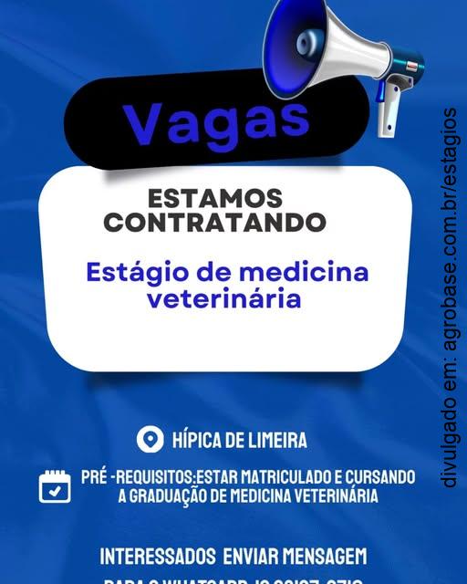 Estágio em medicina veterinária (equinos) – Limeira/SP