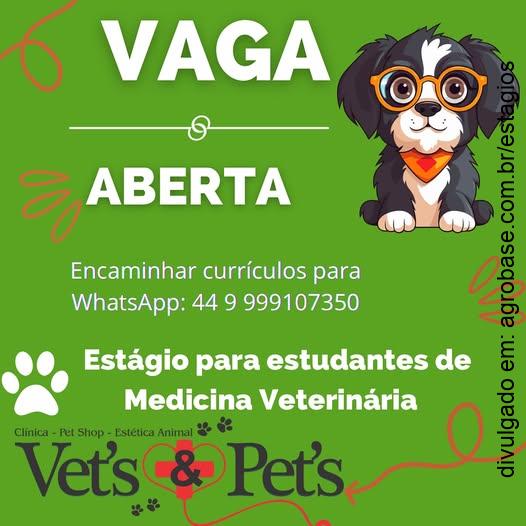 Estágio estudantes de medicina veterinária – Paranavaí/PR