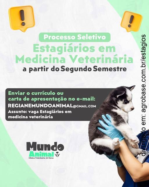 Estágio em medicina veterinária – Caçapava/SP