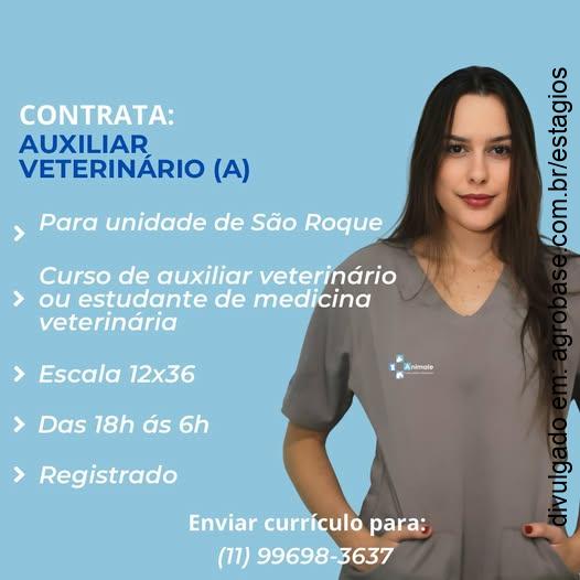 Auxiliar veterinário – São Roque/SP