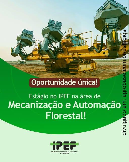 Estágio em mecanização e automação florestal – Piracicaba/SP