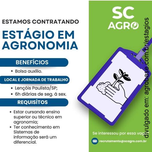 Estágio em agronomia – Lençóis Paulista/SP