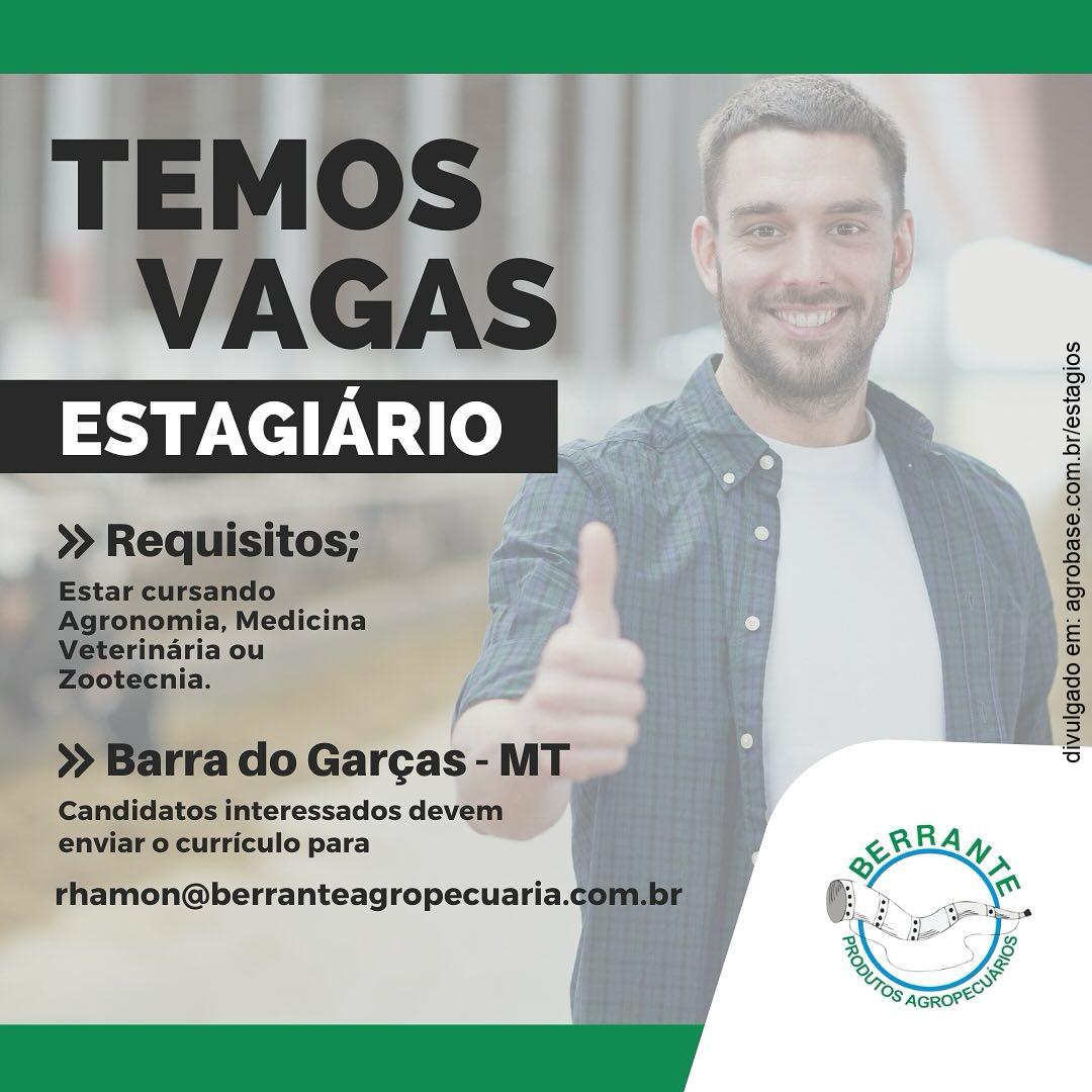 Estagiário loja produtos agropecuários – Barra do Garças/MT