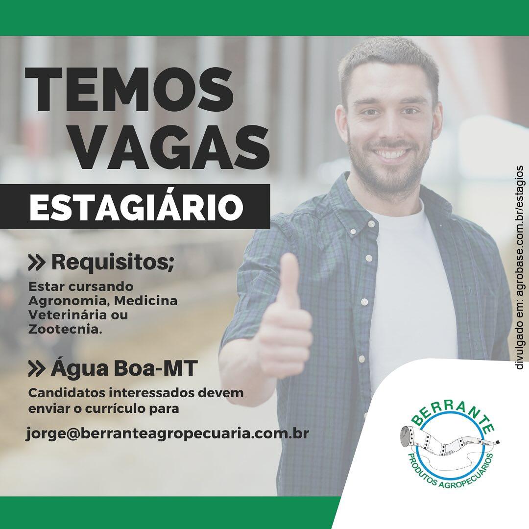 Estagiário loja produtos agropecuários – Água Boa/MT