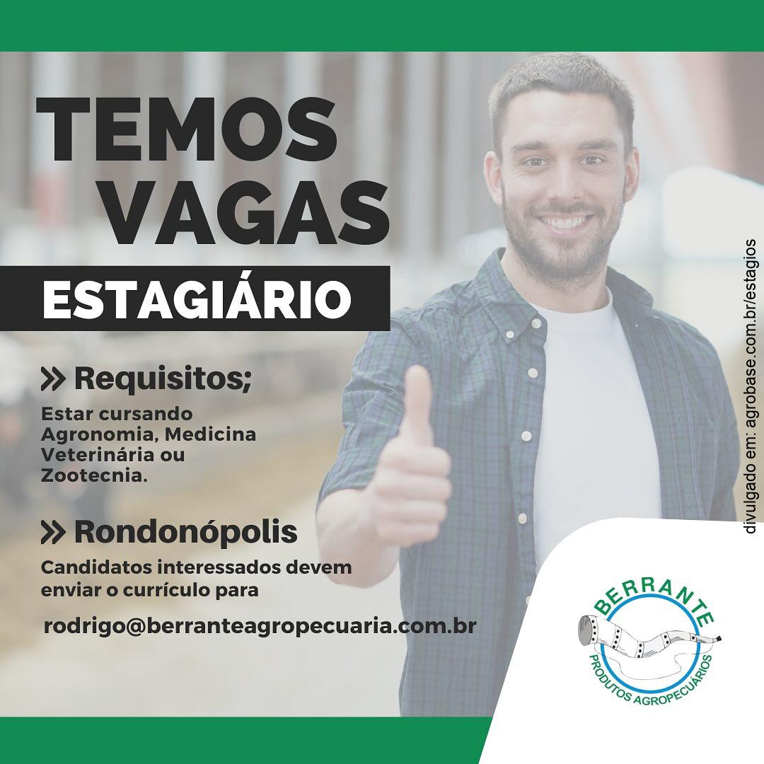 Estagiário loja produtos agropecuários – Rondonópolis/MT