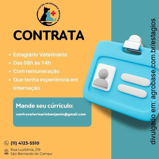 Estagiário veterinário – São Bernardo do Campo/SP