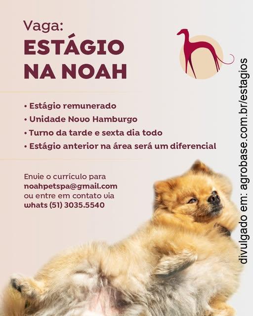 Estágio remunerado de medicina veterinária – Novo Hamburgo/RS