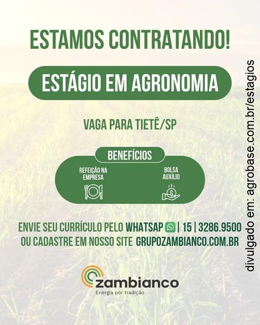 Estágio em agronomia – Tietê/SP
