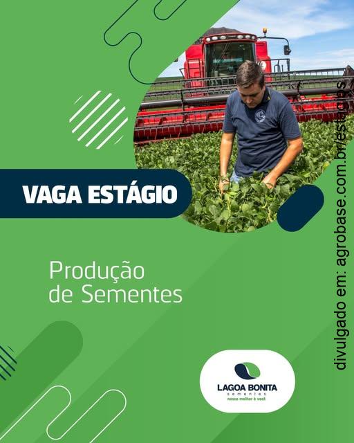 Estagiário produção de sementes – SP, MG, SC, RS, MS e PR