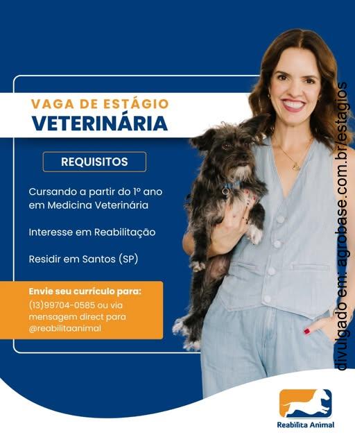 Estágio veterinário – Santos/SP
