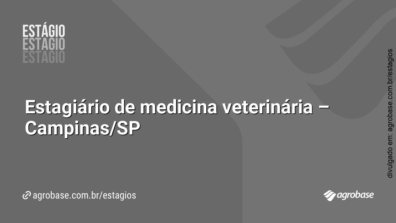 Estagiário de medicina veterinária – Campinas/SP