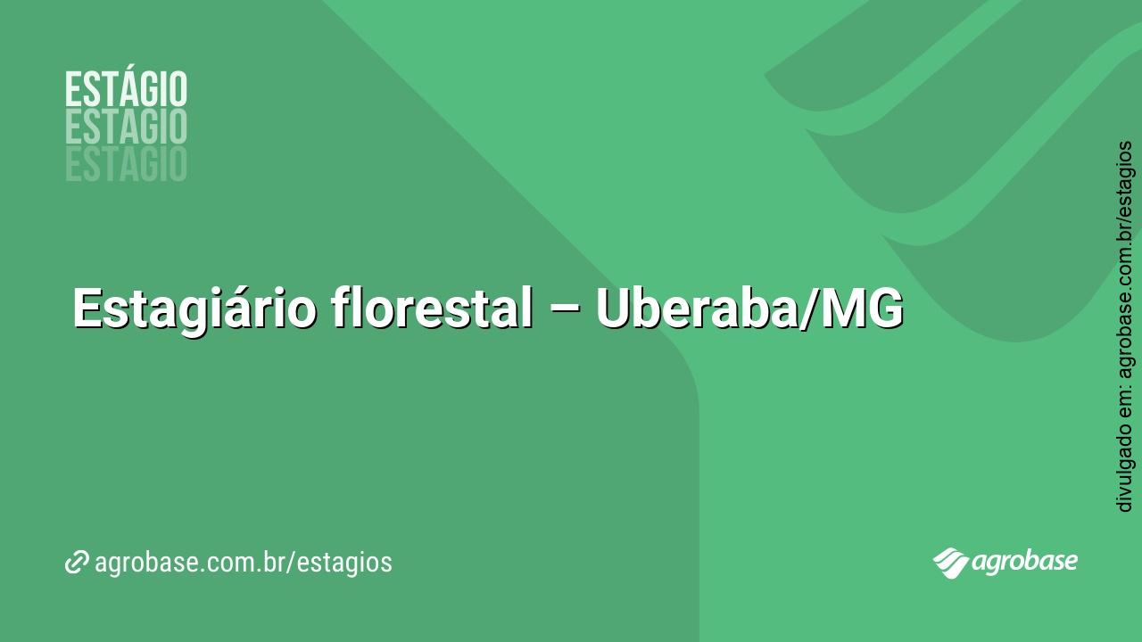Estagiário florestal – Uberaba/MG
