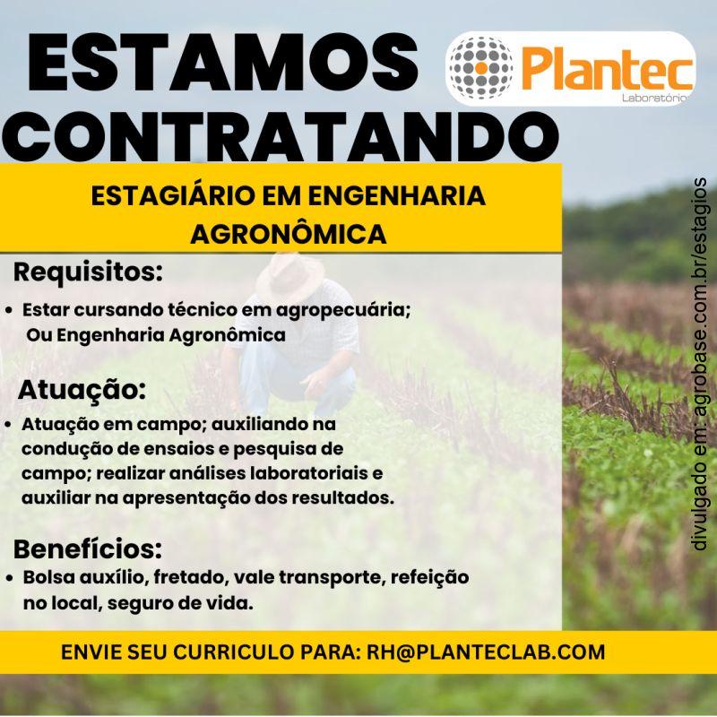 Estagiário em engenharia agronômica – SP