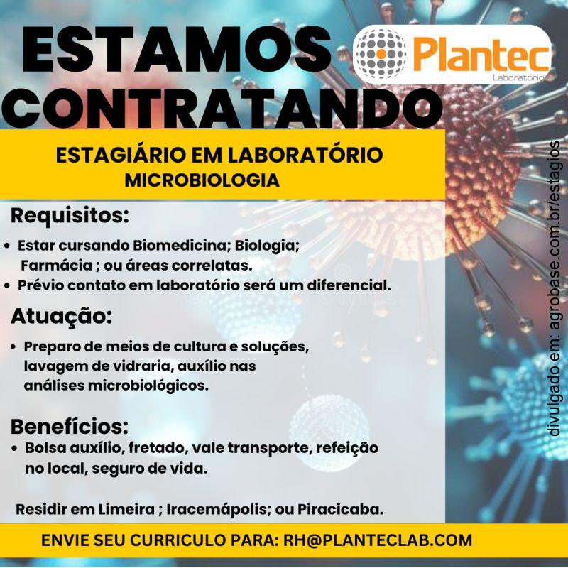Estagiário de laboratório microbiologia – Limeira, Iracemápolis ou Piracicaba/SP