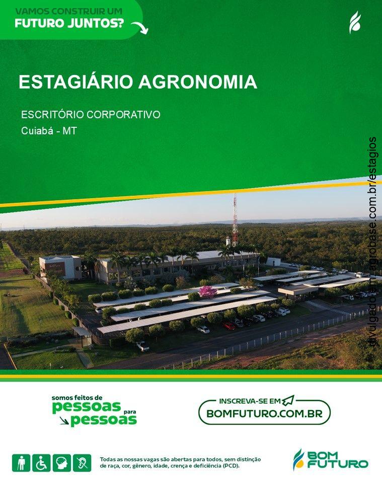 Estagiário agronomia – Cuiabá/MT