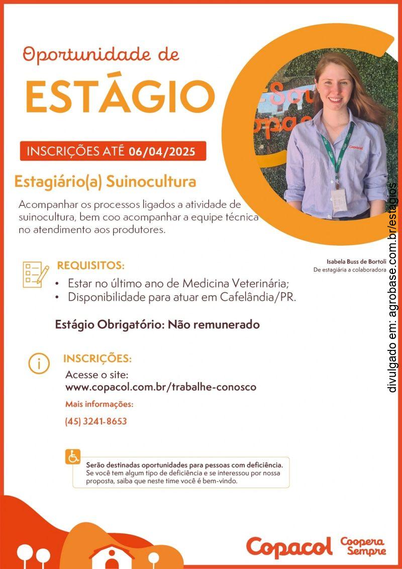 Estagiário(a) de suinocultura – Cafelândia/PR