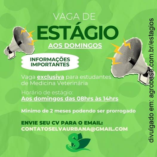 Estágio medicina veterinária – Campinas/SP