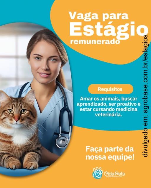 Estágio medicina veterinária – Cascavel/PR