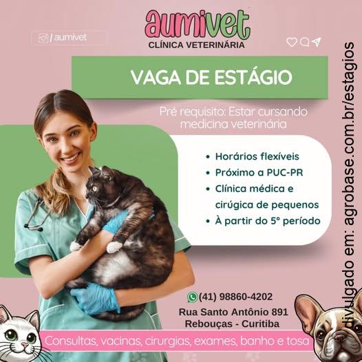 Estágio clínica méd. e cirúrgica de pequenos – Curitiba/PR