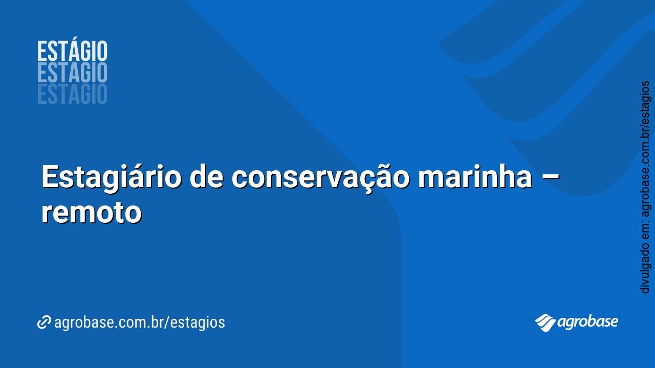 Estagiário de conservação marinha – remoto