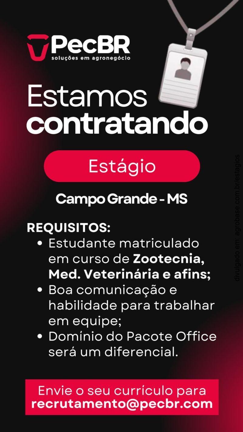 Estágio agronegócio – Campo Grande/MS