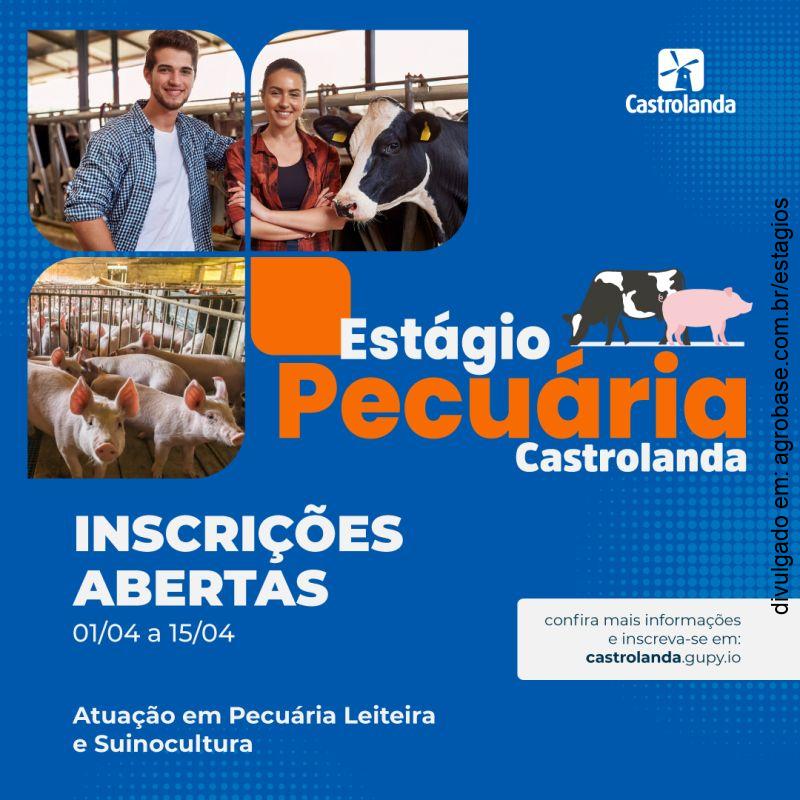 Programa de estágio pecuária – Castro/PR