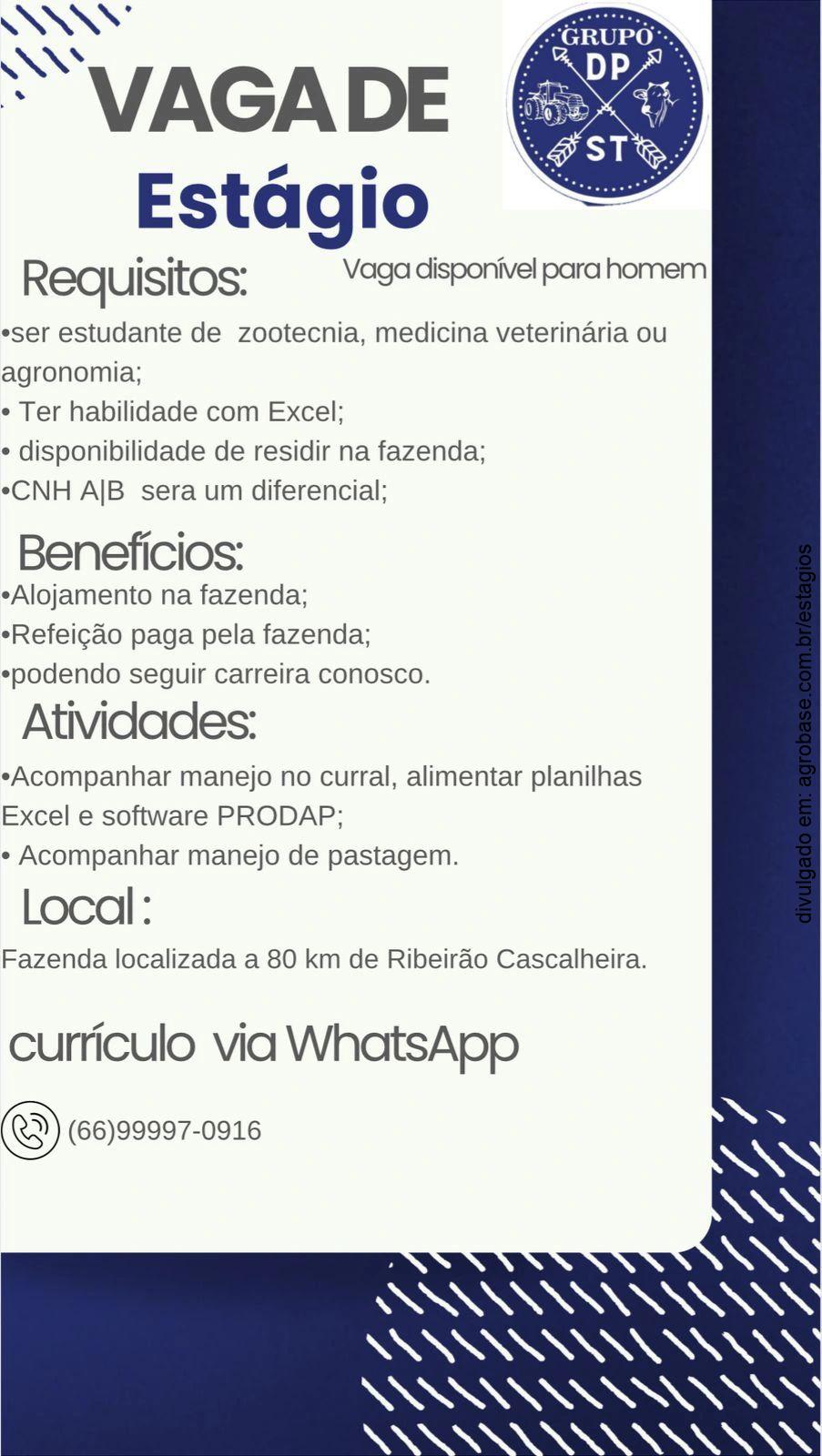 Estágio em fazenda – Ribeirão Cascalheira/MT [vaga para homens]