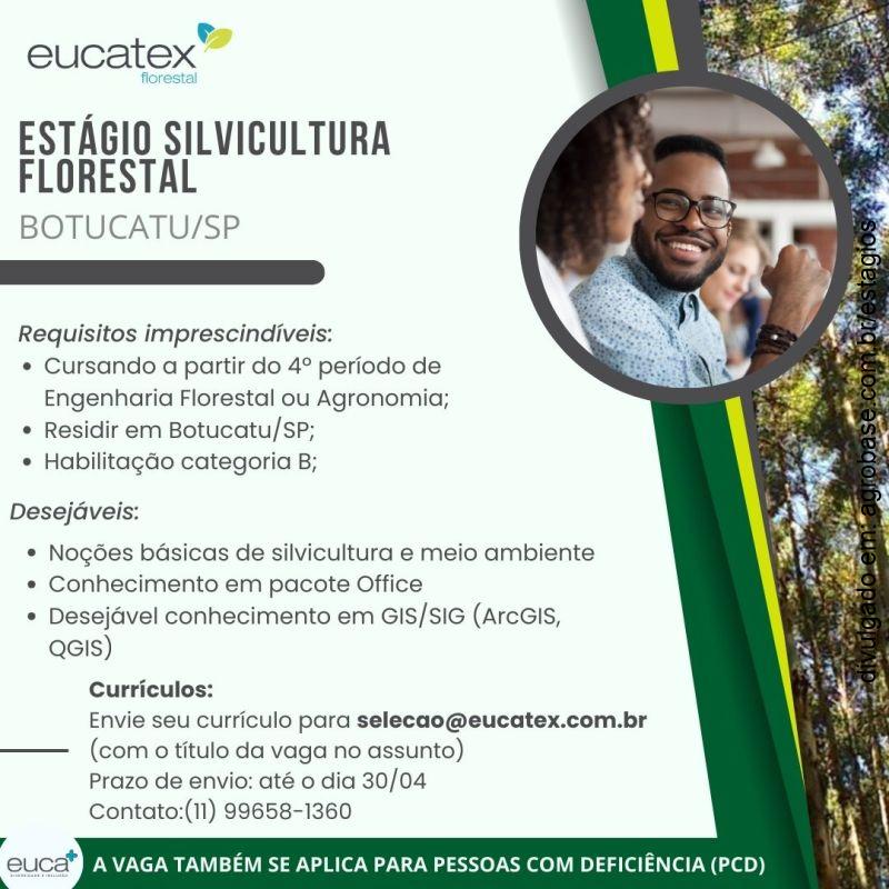 Estágio em silvicultura – Botucatu/SP