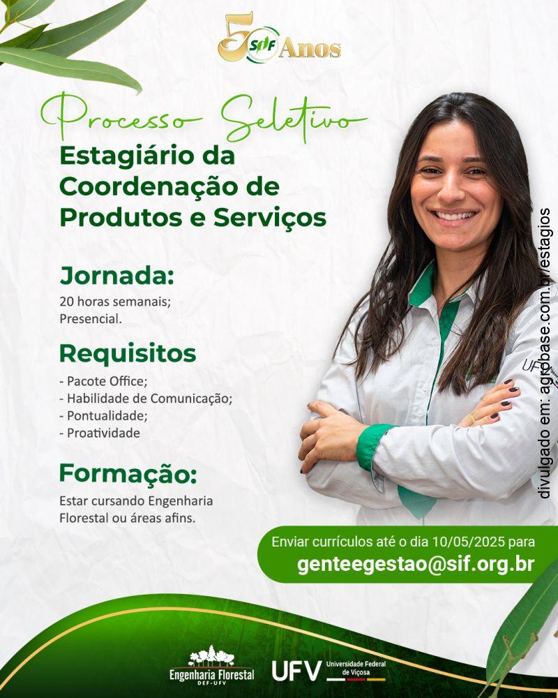 Estagiário da coordenação de produtos e serviços – MG