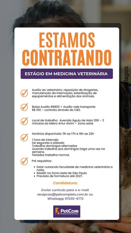 Estágio em medicina veterinária – São Paulo/SP
