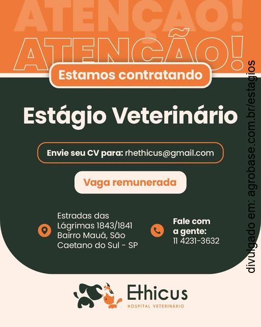 Estágio em medicina veterinária – São Caetano do Sul/SP