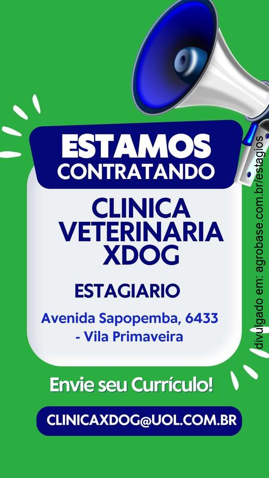 Estagiário(a) clínica veterinária – São Paulo/SP [Vila primavera]