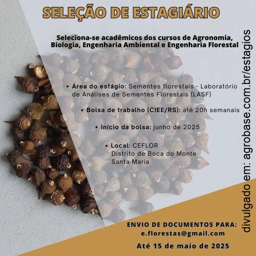 Estagiário bolsista área de sementes florestais – Santa Maria/RS