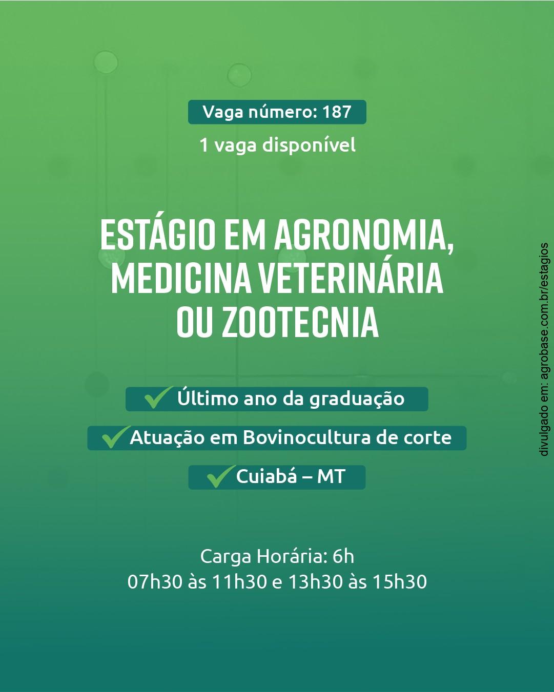 Estágio em bovinocultura de corte – Cuiabá/MT