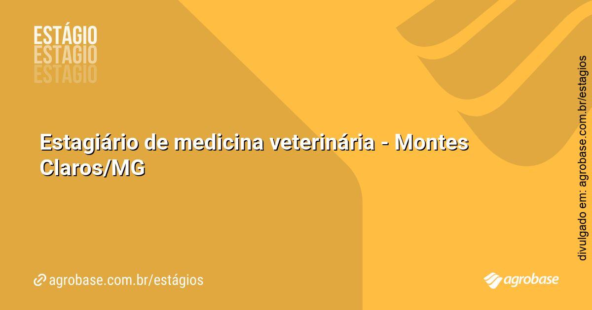 Estagiário de medicina veterinária – Montes Claros/MG
