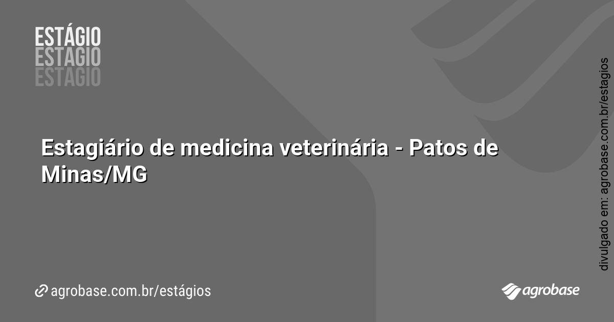 Estagiário de medicina veterinária – Patos de Minas/MG