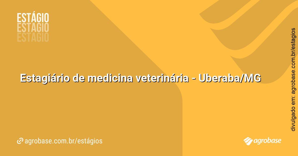 Estagiário de medicina veterinária – Uberaba/MG