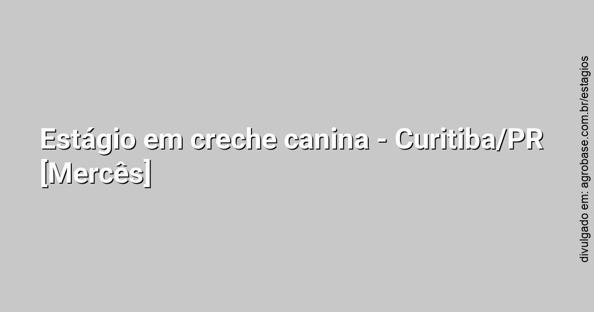 Estágio em creche canina – Curitiba/PR [Mercês]