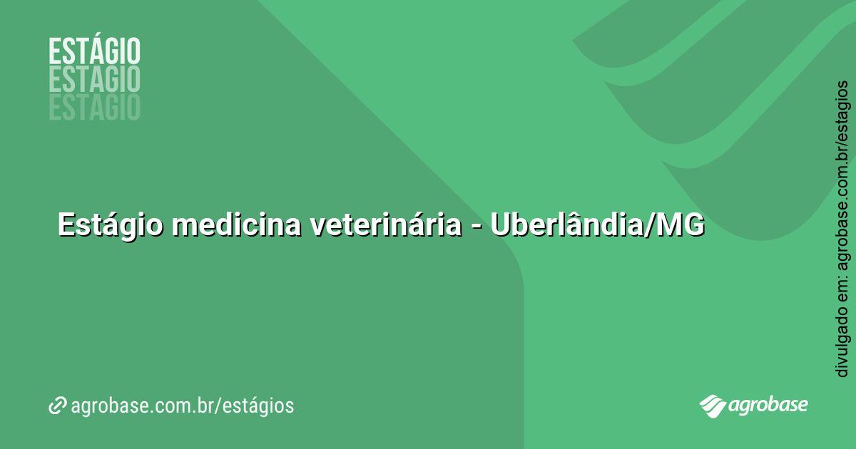 Estágio medicina veterinária – Uberlândia/MG