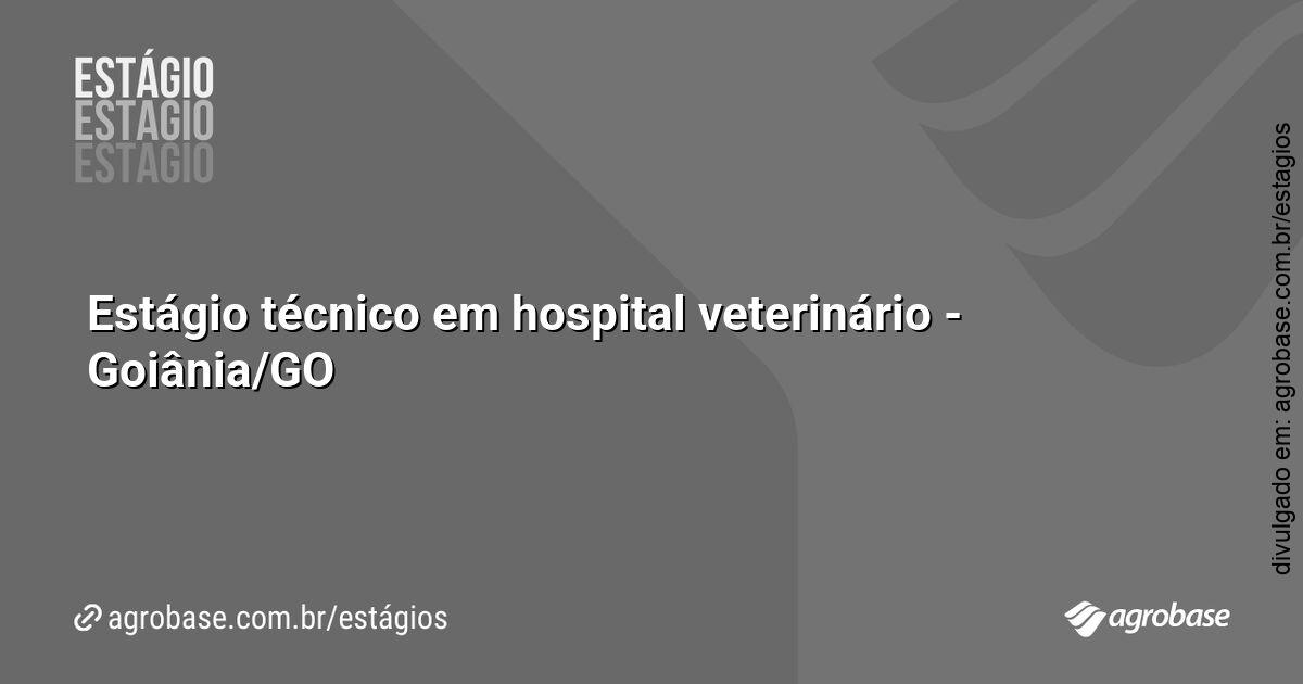 Estágio técnico em hospital veterinário – Goiânia/GO