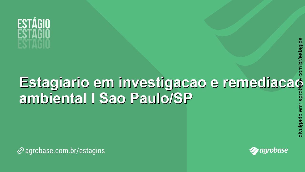 Estagiário em investigação e remediação ambiental – São Paulo/SP