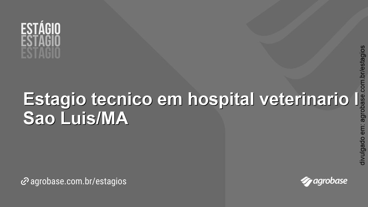 Estágio técnico em hospital veterinário – São Luís/MA