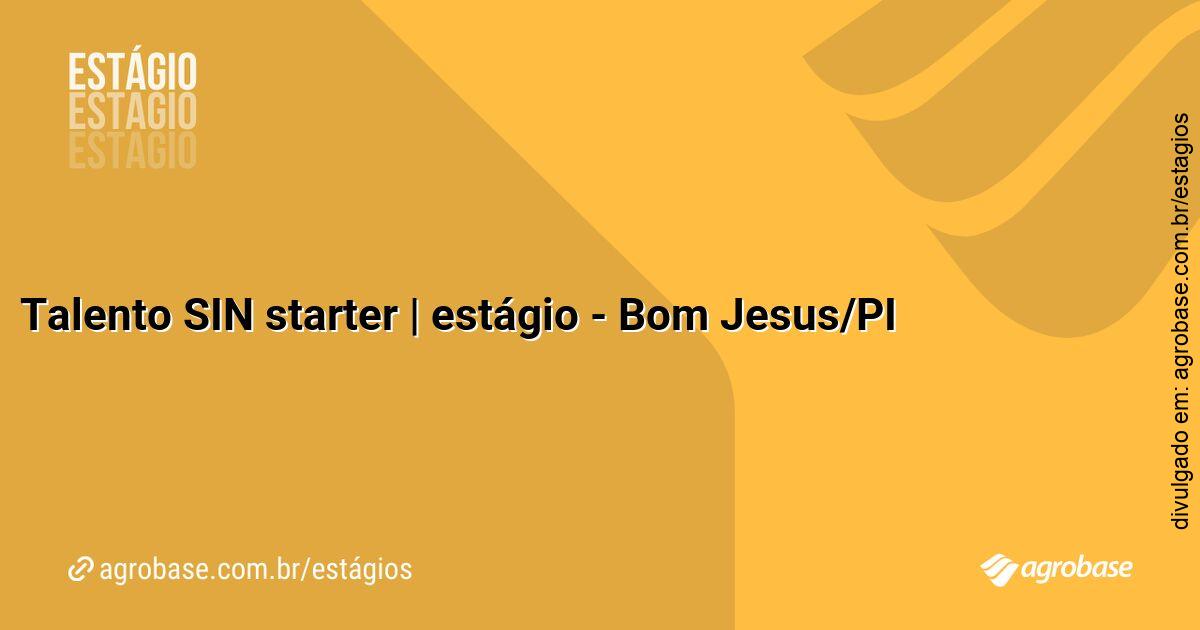 Talento SIN starter | estágio – Bom Jesus/PI