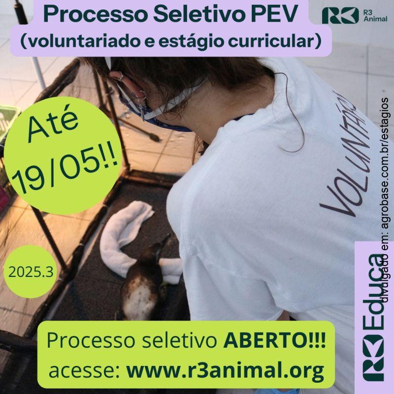 Estágio curricular obrigatório – Florianópolis/SC