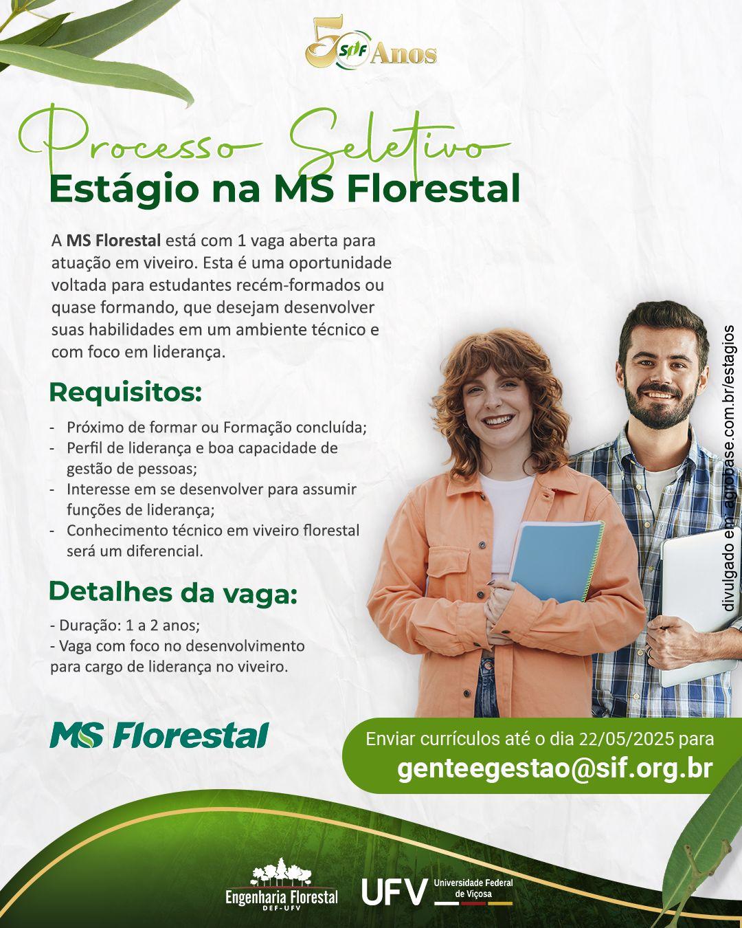 Estagiário em viveiro florestal – MG