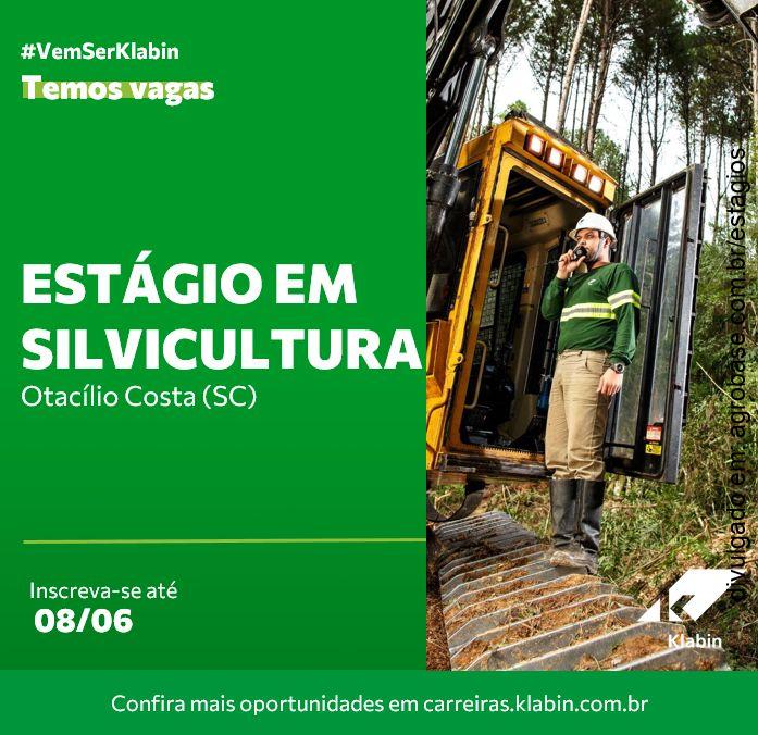 Estágio em silvicultura – Telêmaco Borba/PR