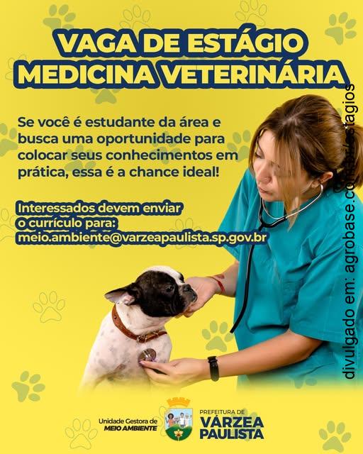 Estágio em medicina veterinária – Várzea Paulista/SP