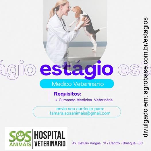 Estágio medicina veterinária – Brusque/SC